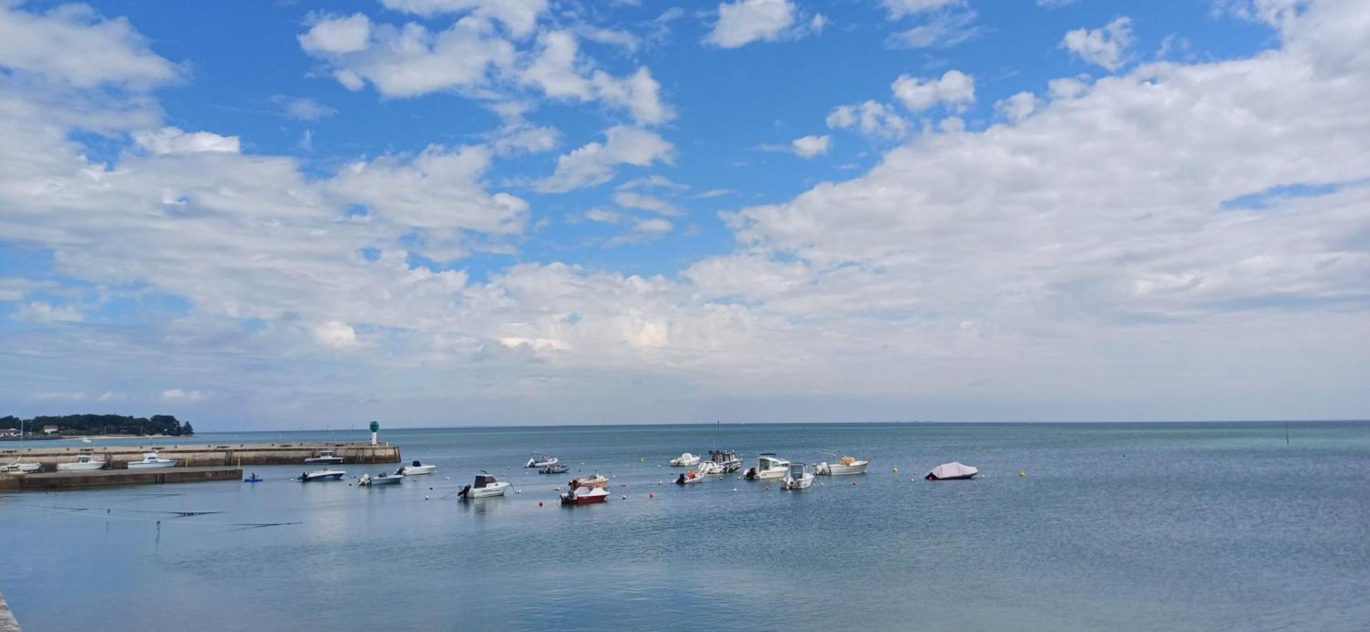 Coup De Coeur Studio Rivedoux-Plage Dış mekan fotoğraf